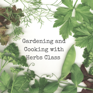 Cover photo for Gardening & Cooking With Herbs