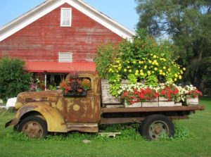 Cover photo for Aging With Gusto 2018: “Keep It Local”