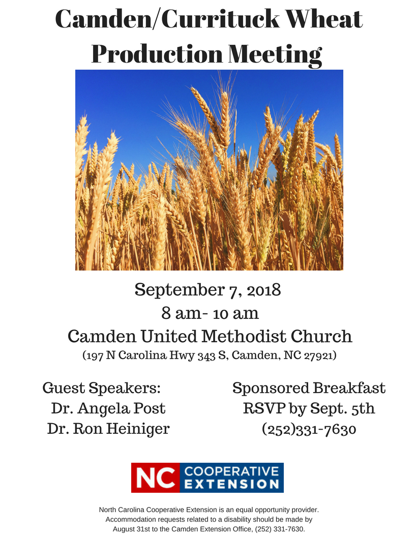 Wheat Production Meeting flyer