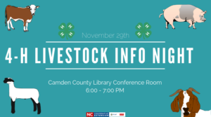 Cover photo for 4-H Livestock Info Night
