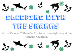 Cover photo for Sleeping With The Sharks!