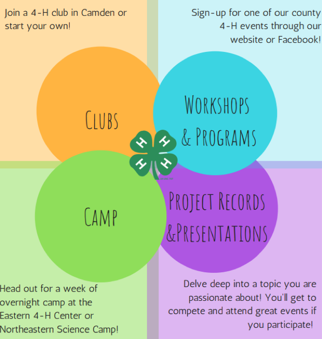 Ways to Get Involved with 4-H in Camden