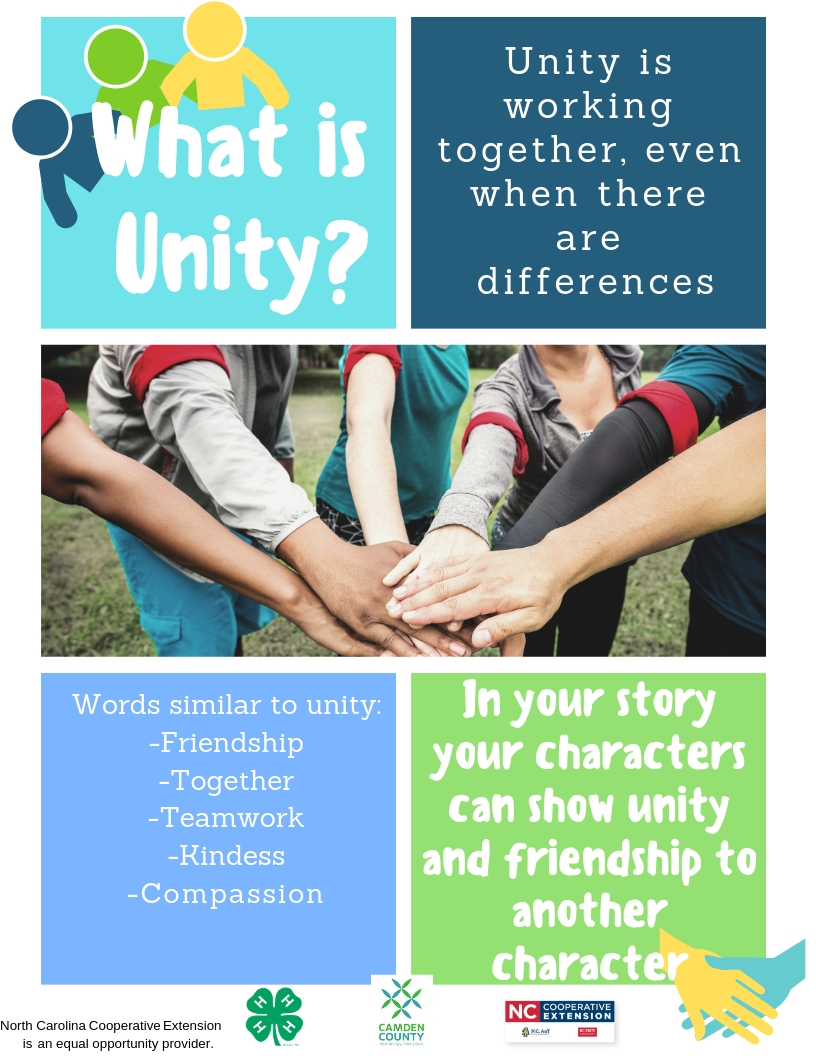 What is unity flier