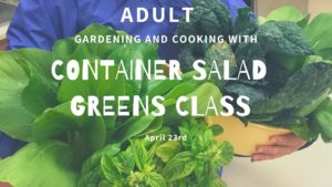 Cover photo for Gardening and Cooking: Adult Container Salad Greens (CANCELLED)