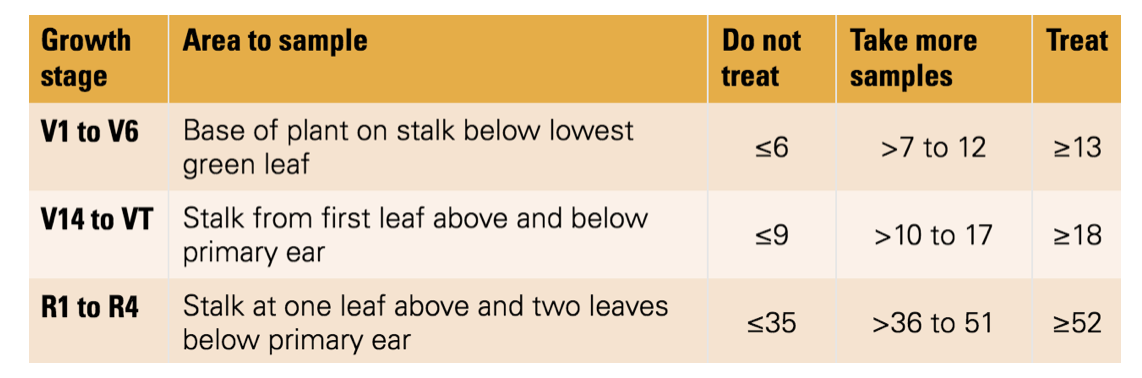 Growth stage chart