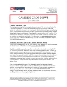 Cover photo for Camden Crop News: June 25, 2020