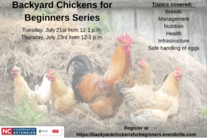 Cover photo for Backyard Chickens for Beginners Series