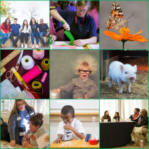 Cover photo for NC 4-H Virtual Summer Programs