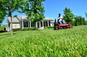Cover photo for 2021 Virtual Albemarle Area Landscape School