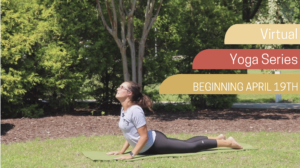 Cover photo for 6-Week Virtual Yoga Series
