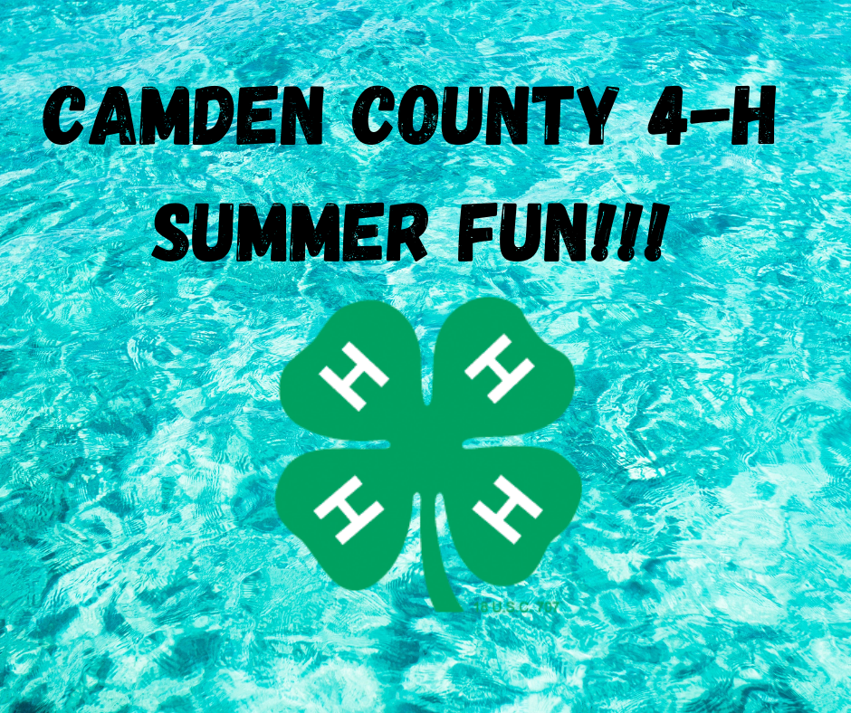 camden-4-h-summer-fun-n-c-cooperative-extension