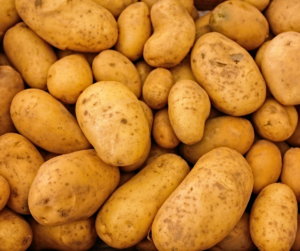 Cover photo for Area Potato Production Meeting