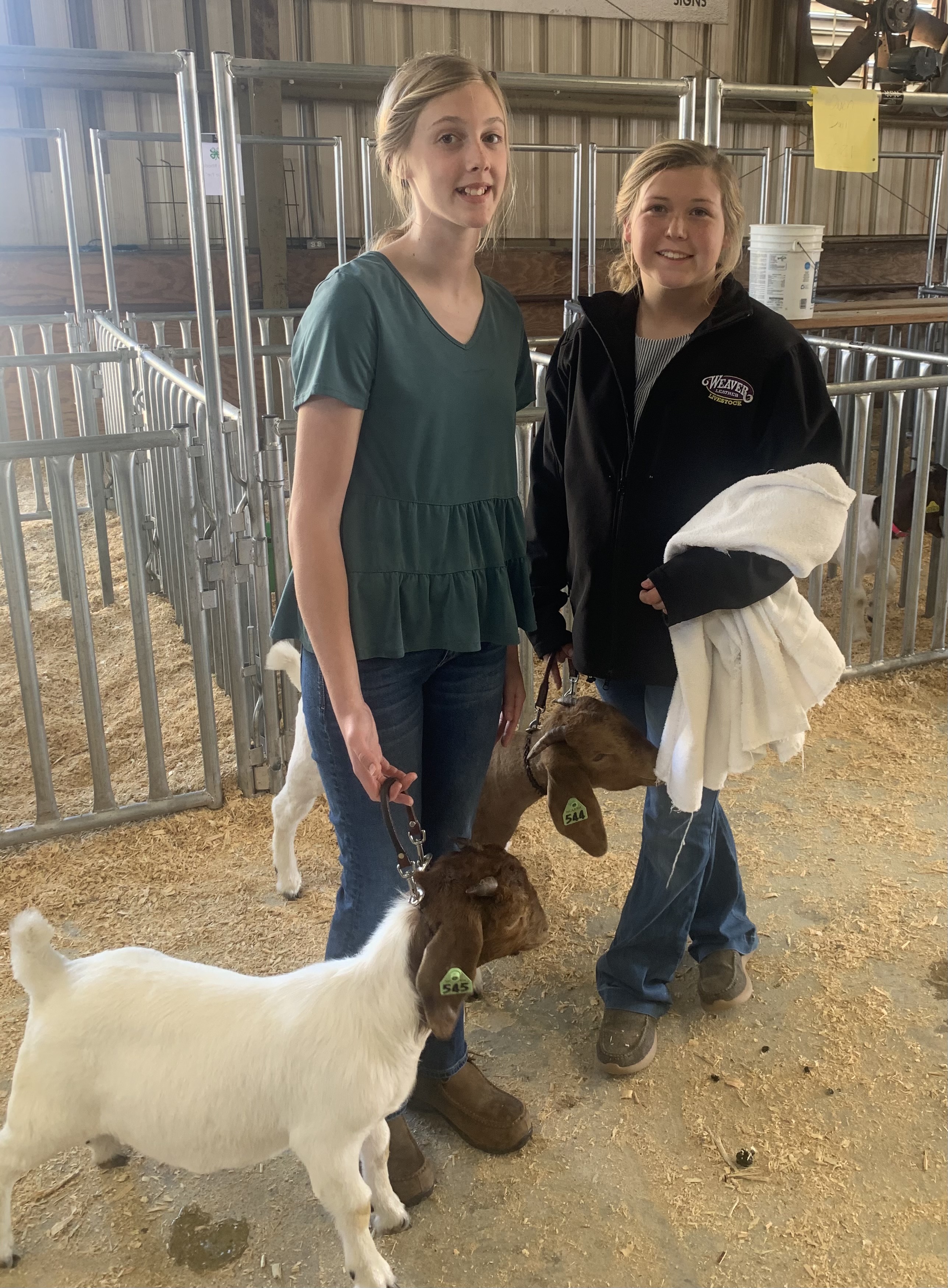 Two girls stand with goats on leads.