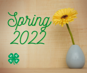 Cover photo for Spring 4-H Events