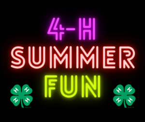 Cover photo for 4-H Summer Fun!