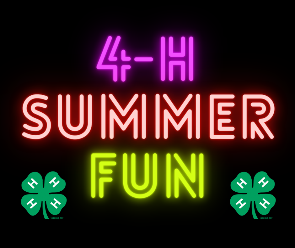 4-H Summer Fun