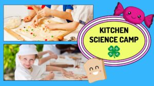Cover photo for Kitchen Science Camp