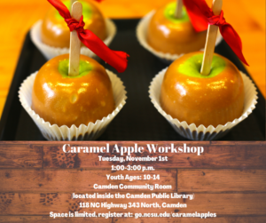 Cover photo for Caramel Apple Workshop