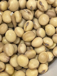 Cover photo for Camden Crop News:  October 2022