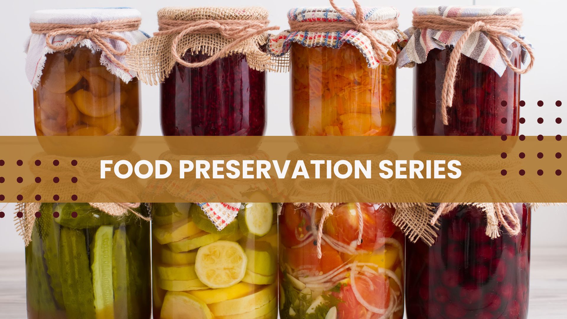 Food Preservation Series