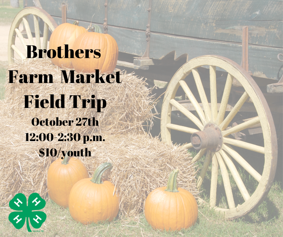 Brothers Farm Market Field Trip Flyer with hay bales, wagon and pumpkins
