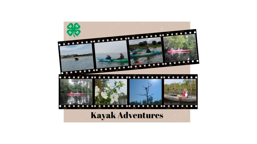 Kayak Adventures