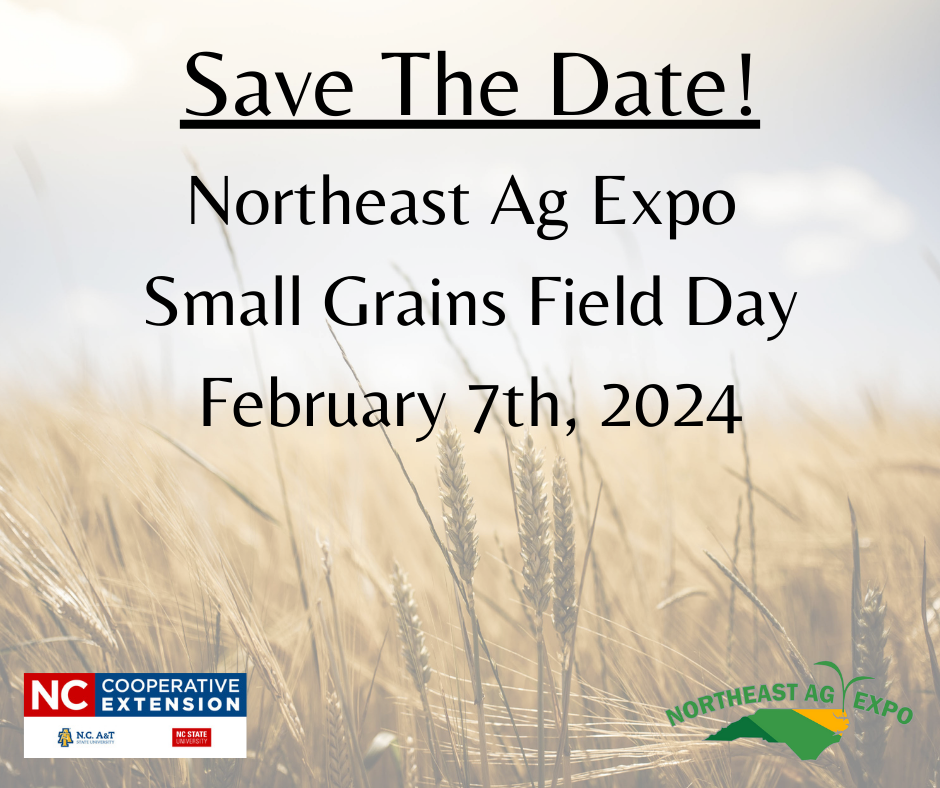 Save the Date! Ag Expo Small Grains Field Day Feb. 7th. 2024. Banner with grain field background. 