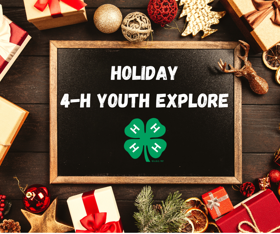 Holiday 4-H Youth Explore