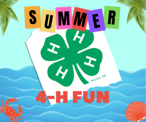 Cover photo for 2024 Summer 4-H Fun Registration Is Now OPEN