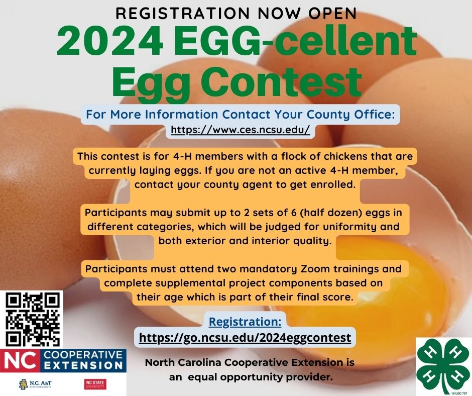 Egg-cellent Egg Contest