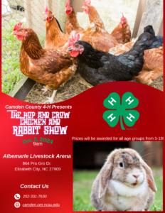 Cover photo for 4-H Chicken & Rabbit Show