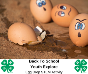 Cover photo for Back to School Youth Explore