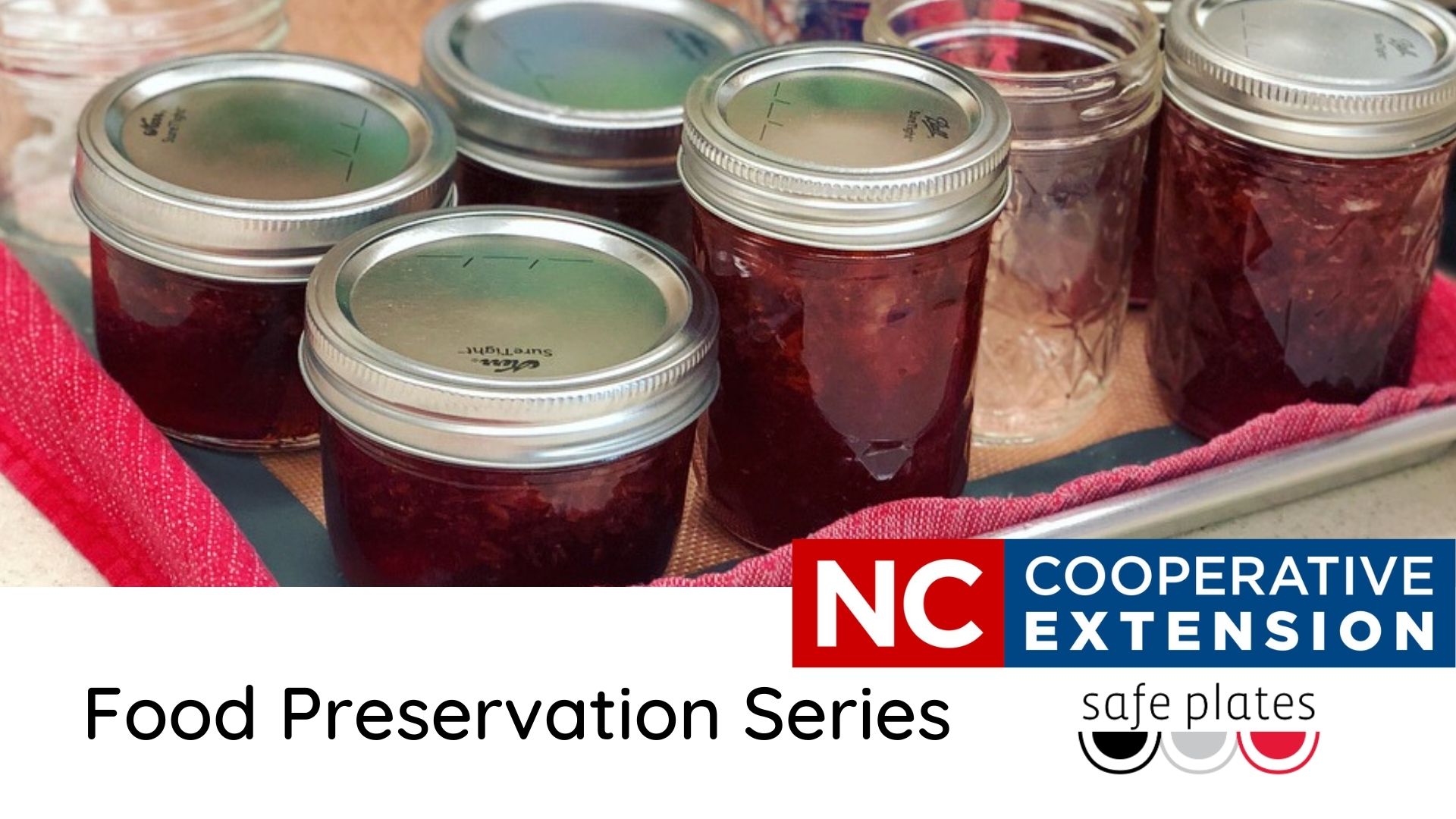 Food Preservation Series