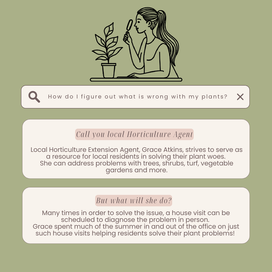 Information on our to contact your local horticulture agent